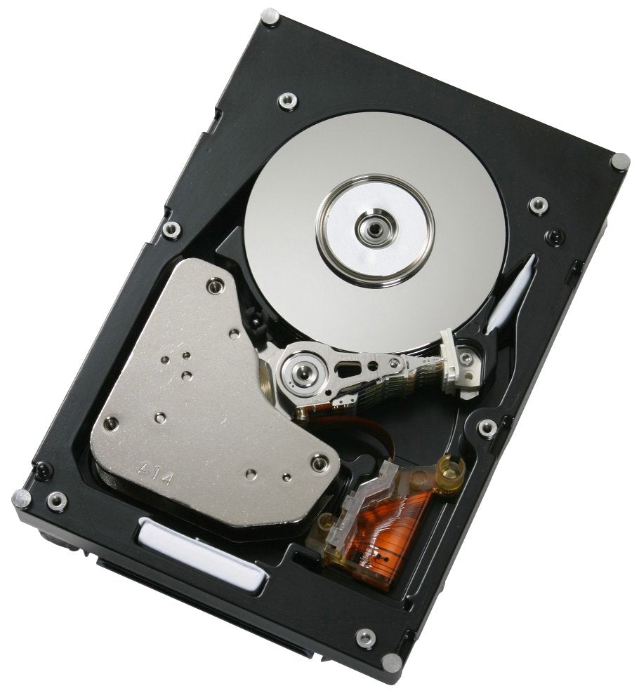 Hitachi 300GB Server Hard Drive - 0B22171