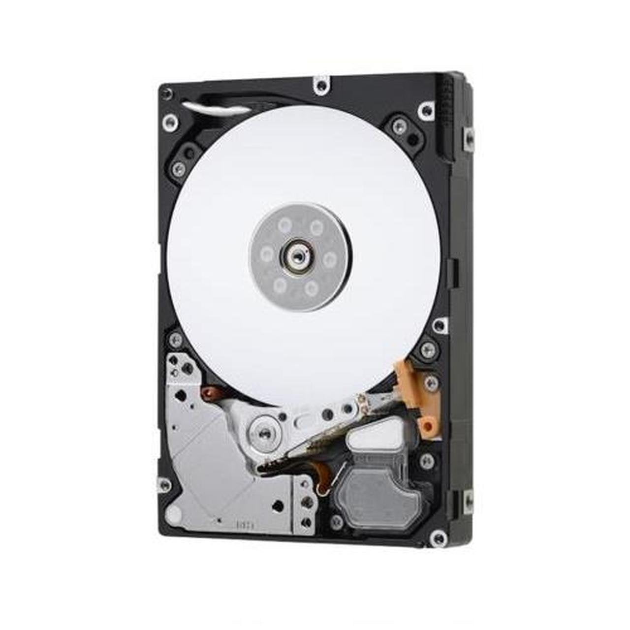 Hitachi 1TB Server Hard Drive - 0B28471