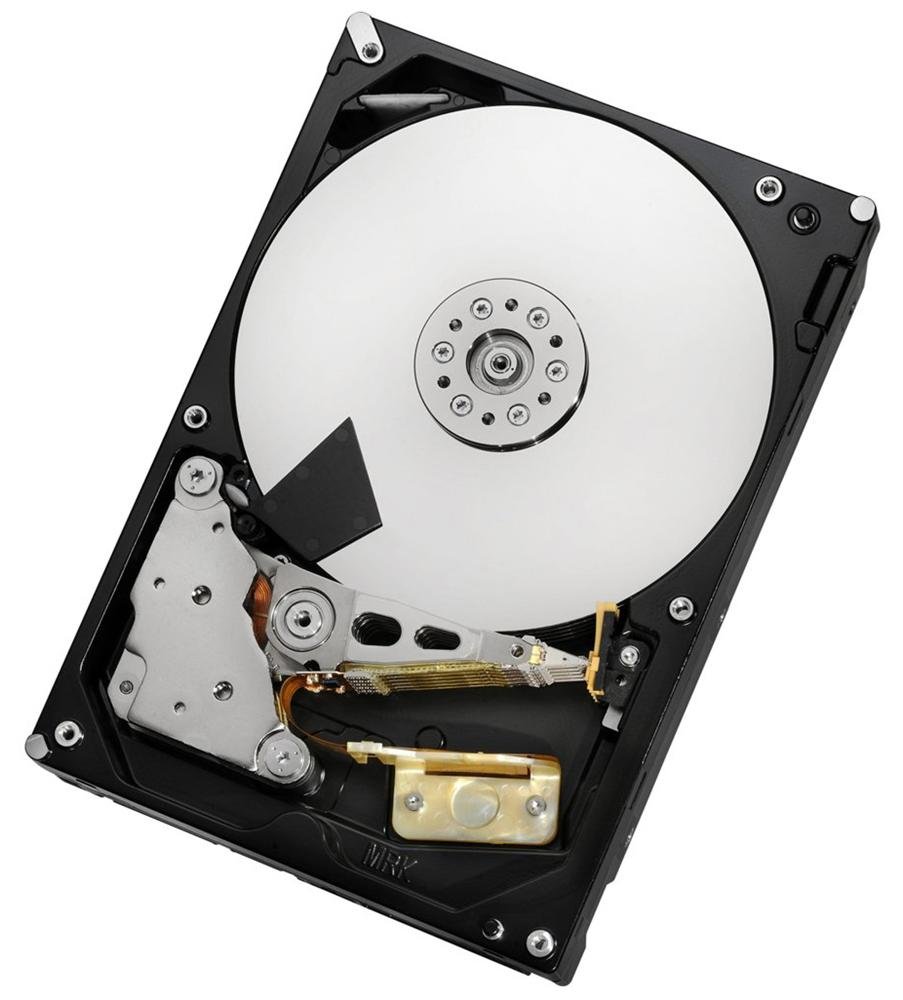 HGST Server Hard Disk Drive - 0F14689