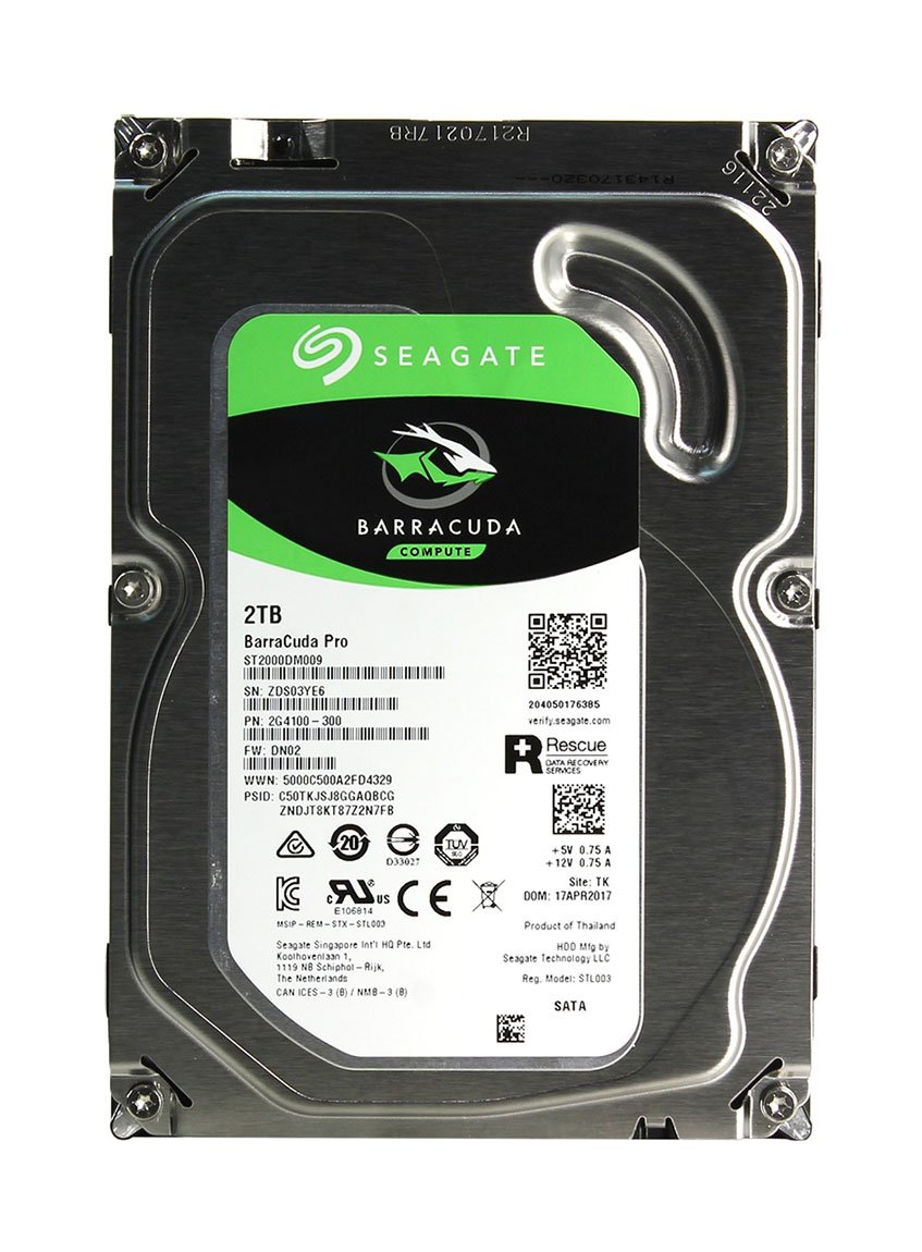Seagate Server Hard Disk Drive - 2G4100-300
