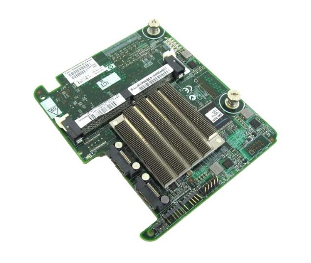 HP Raid Controller - 587311-001