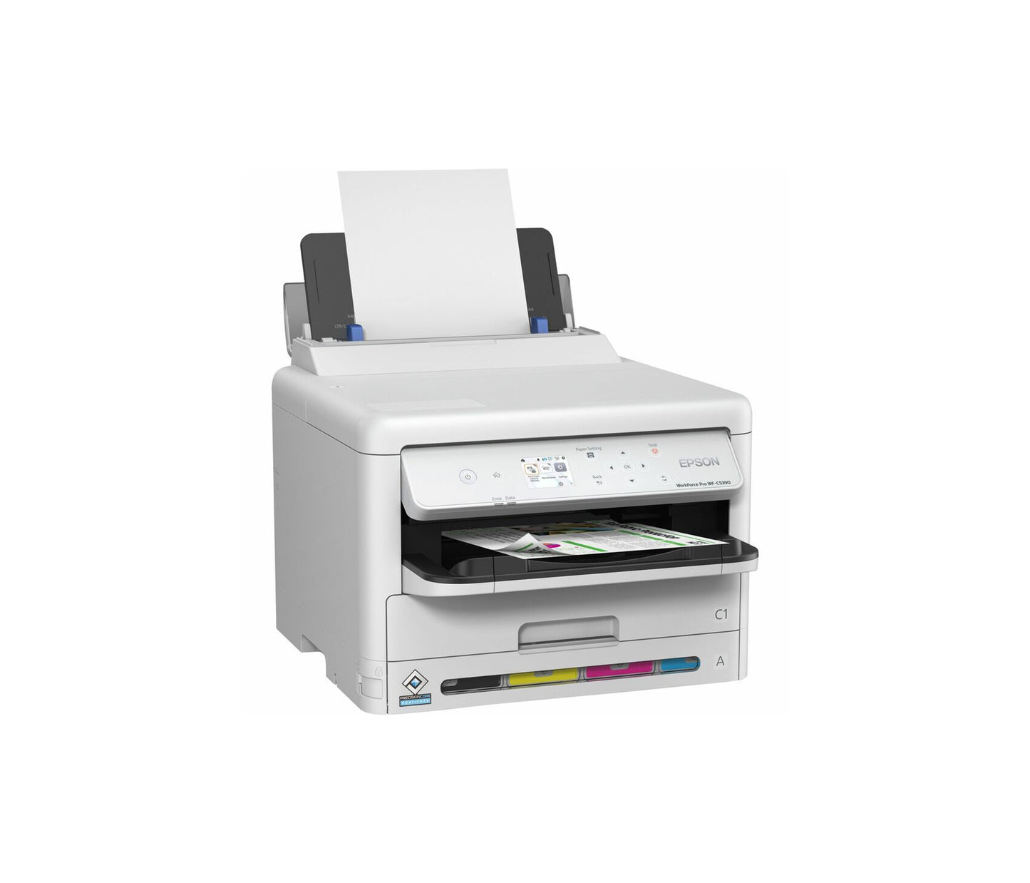 Epson Product Image C11CK25201