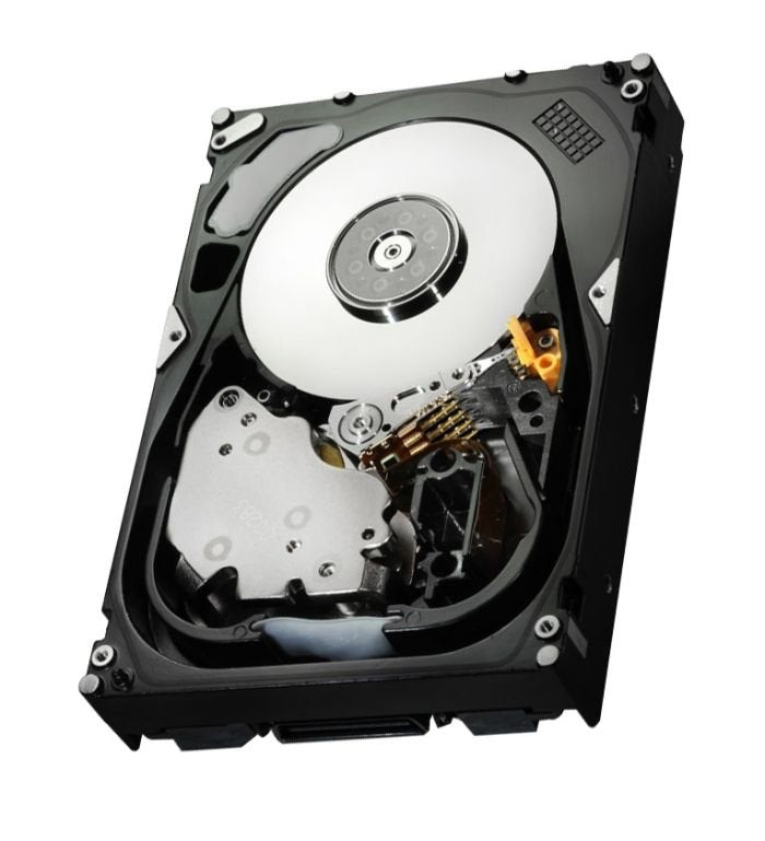 HGST 600GB Server Hard Drive - HUS156060VLS600