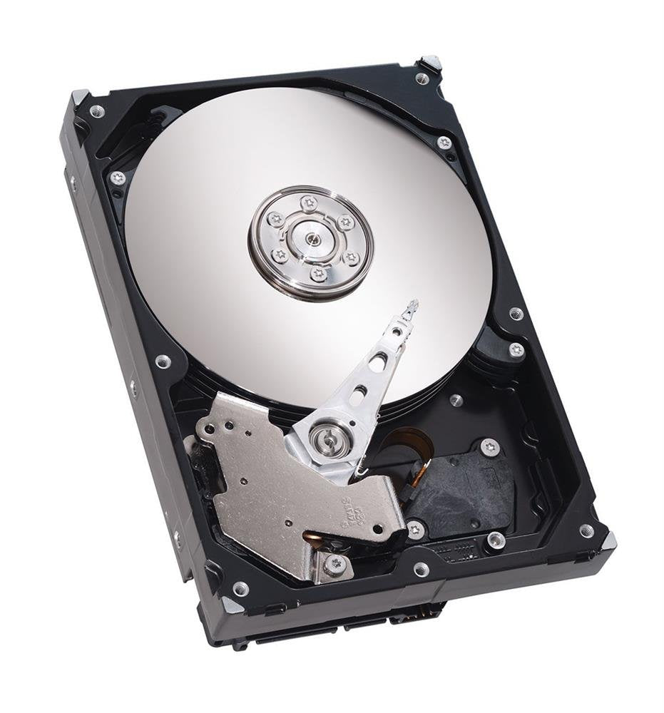 Seagate Server Hard Disk Drive - ST2000DM002