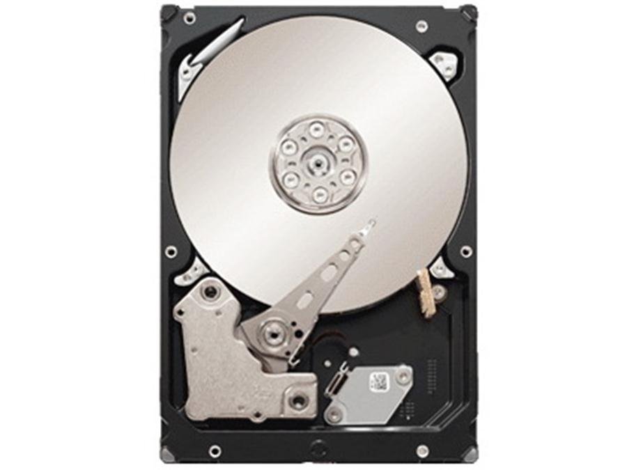 Seagate Server Hard Disk Drive - ST33000652SS