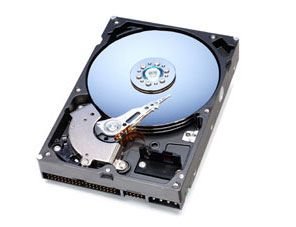 Western Digital 250GB Server Hard Drive - WD2500BB