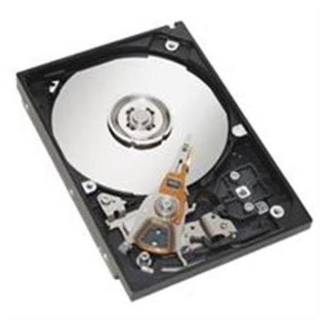 IBM 10TB Server Hard Drive - 01EJ990