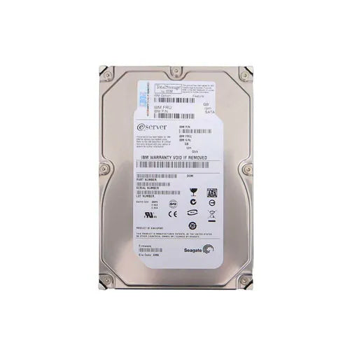 IBM Solid State Drive - 06P5795