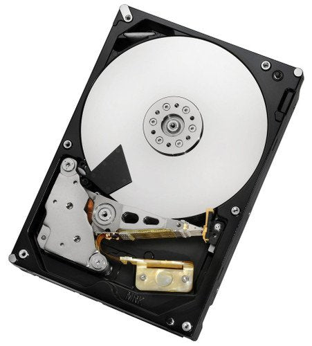 HGST Desktop Hard Drive - 0F13203