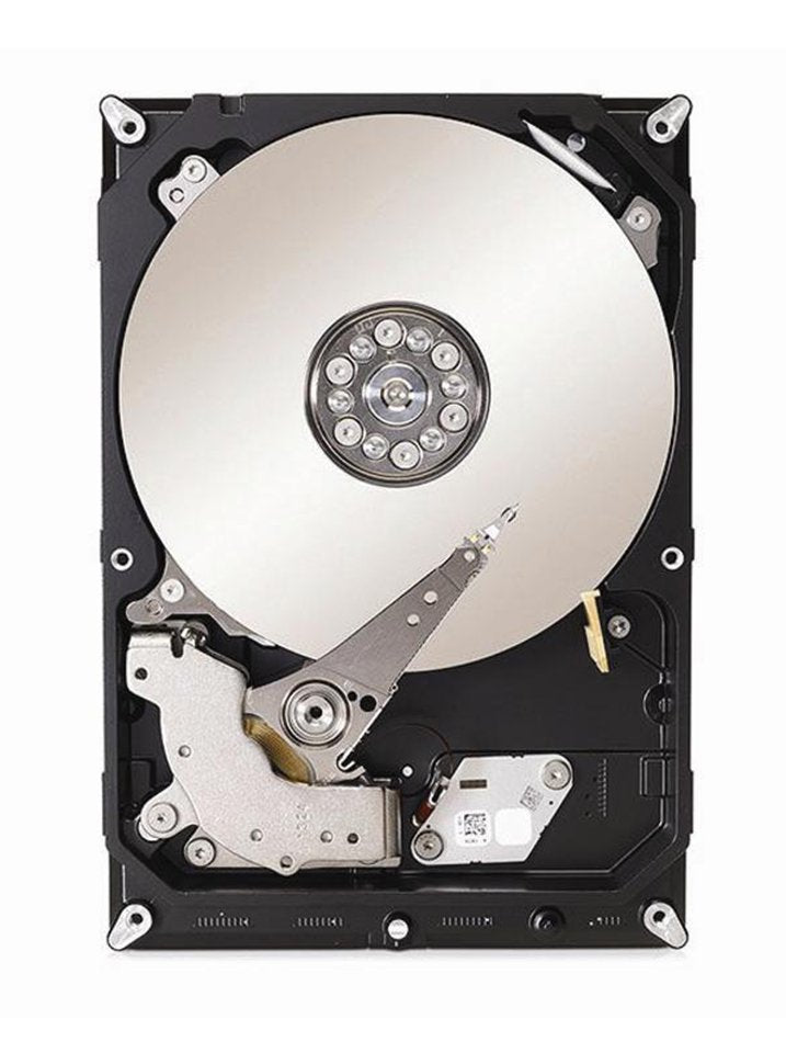 Seagate SV35 1TB Server Hard Drive - 1ES162-500