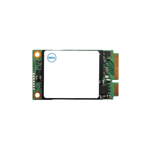 Dell Solid State Drive - 295GT