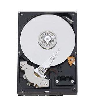 IBM 2TB Server Hard Drive - 42D0771