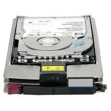 HP Server Hard Drive - 605475-001