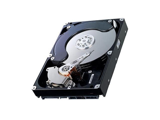 Seagate 40GB Desktop Hard Drive - 9T6002-003