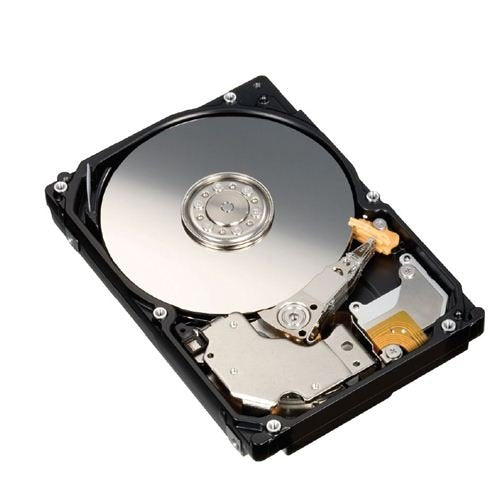 Seagate Server Hard Disk Drive - 9TE066-002