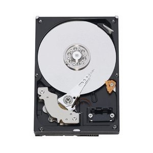 Seagate Server Hard Drive - ST3600957SS