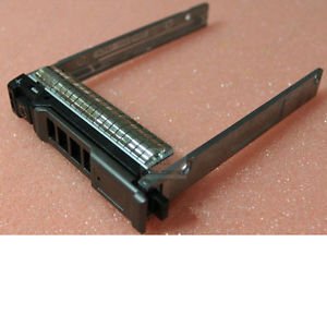 Dell Product Image V81C6
