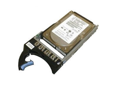 IBM Desktop Hard Drive - 00FN135