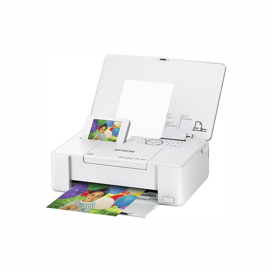 Epson Product Image C11CE84201