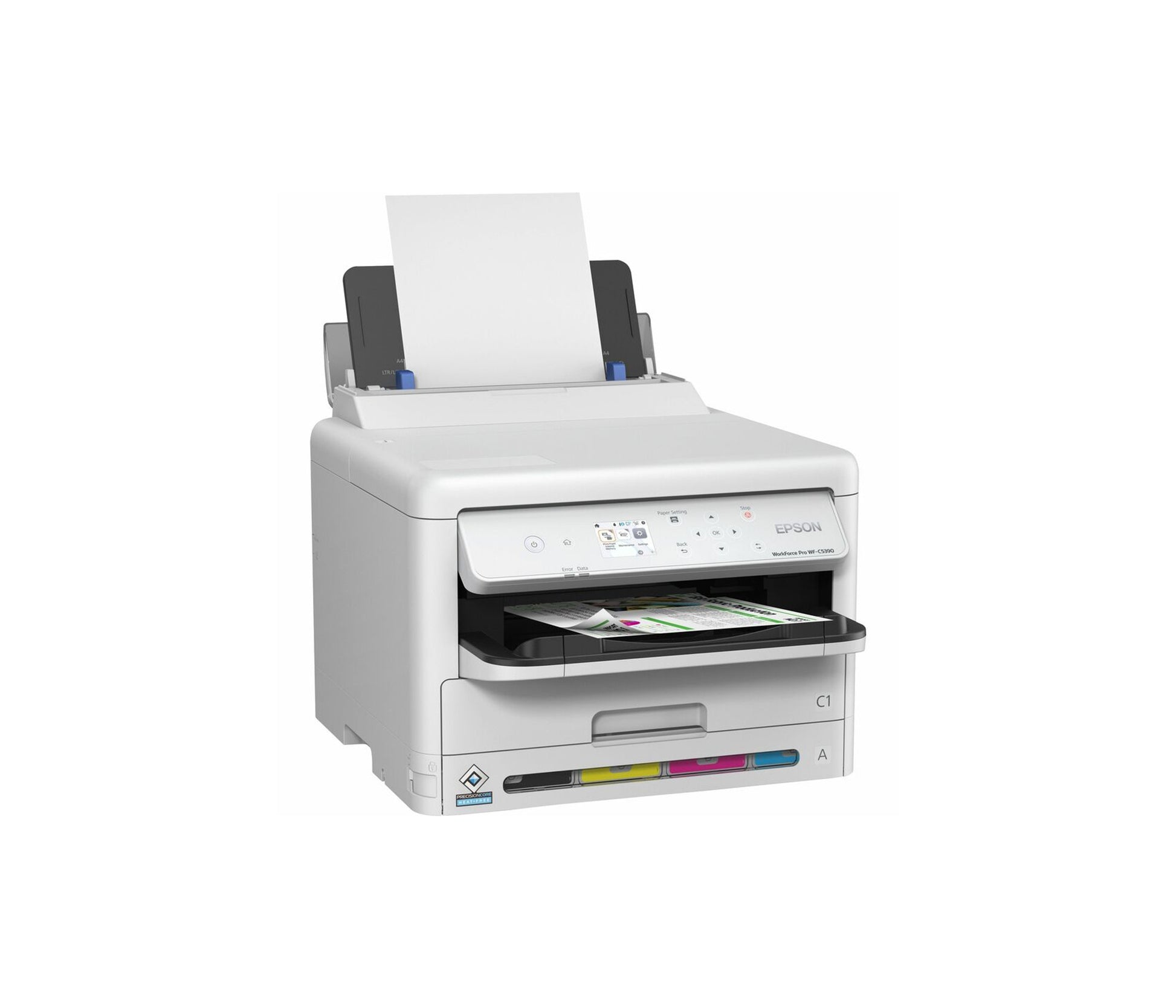 Epson Product Image C11CK25201
