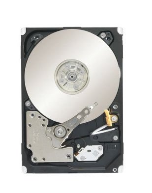 Seagate Constellation.2 1TB 7200RPM 64MB Cach - ST91000642SS