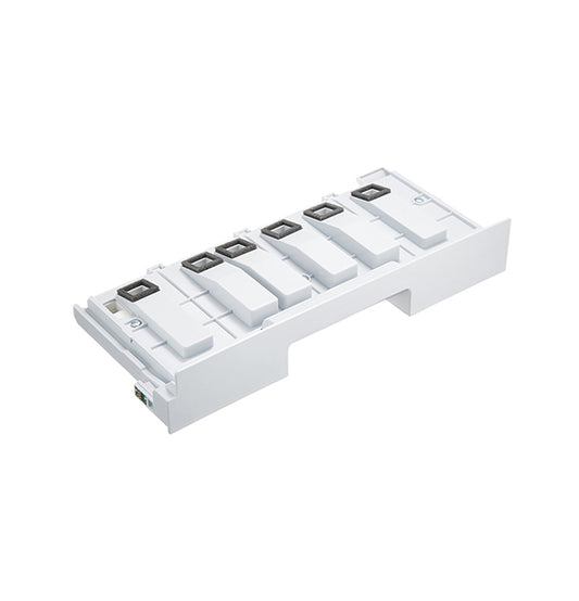 Epson Product Image T619100