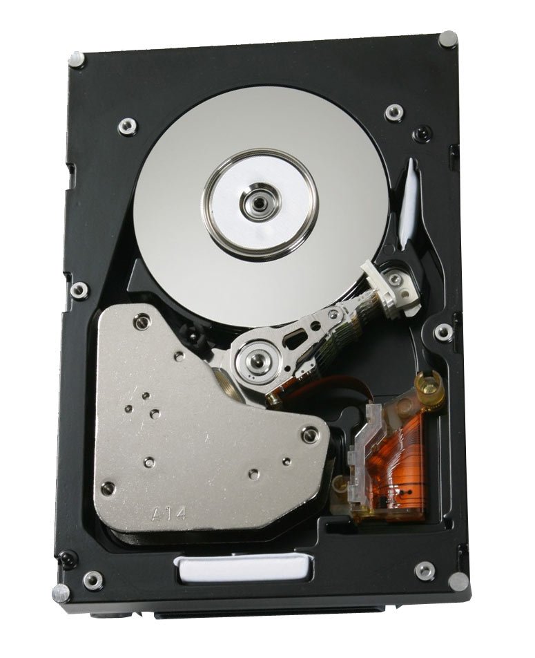 HGST 300GB Server Hard Drive - HUS156030VLF400