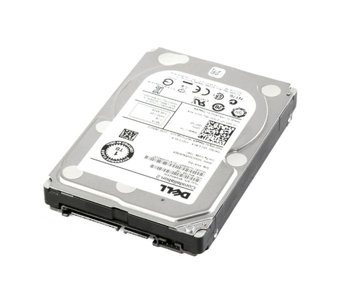 Dell 10TB Server Hard Drive - RVFR2