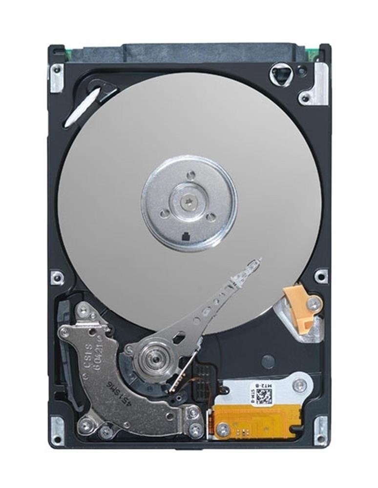 Seagate Server Hard Disk Drive - ST1000NX0303
