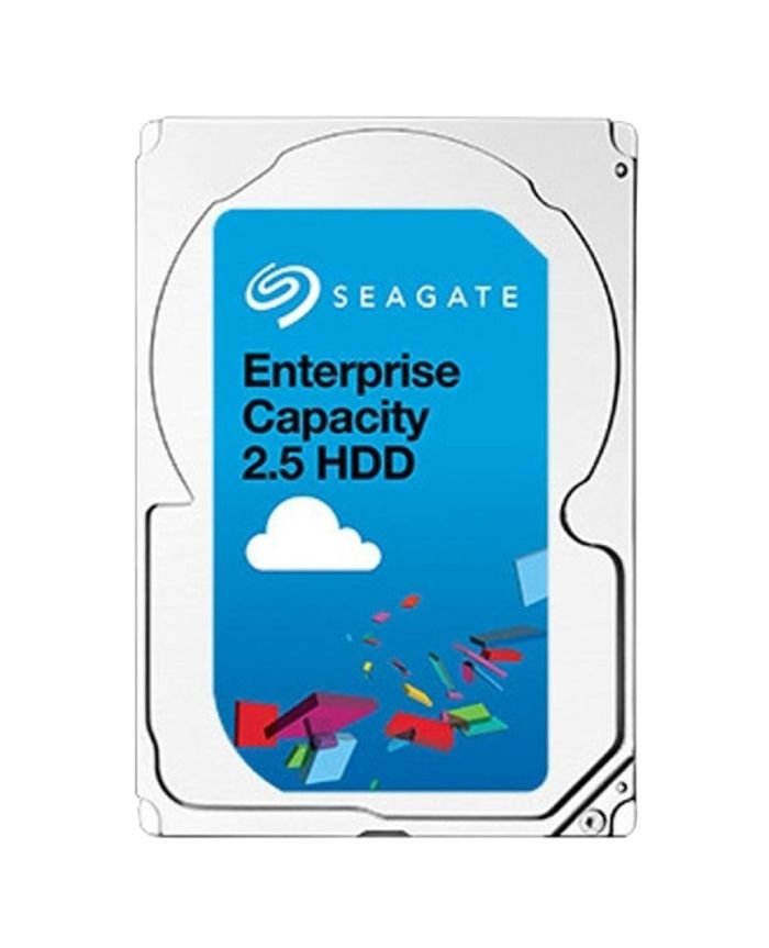 Seagate 1.2TB Server Hard Drive - ST1200MM0017