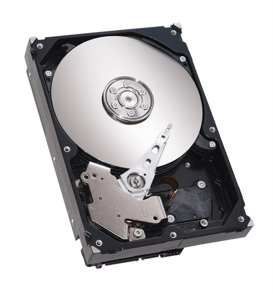 Seagate Server Hard Disk Drive - ST2000DM002