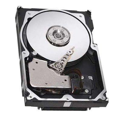 Seagate Server Hard Disk Drive - ST3600002FC