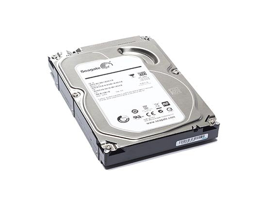 Seagate Server Hard Disk Drive - ST6000NM0175