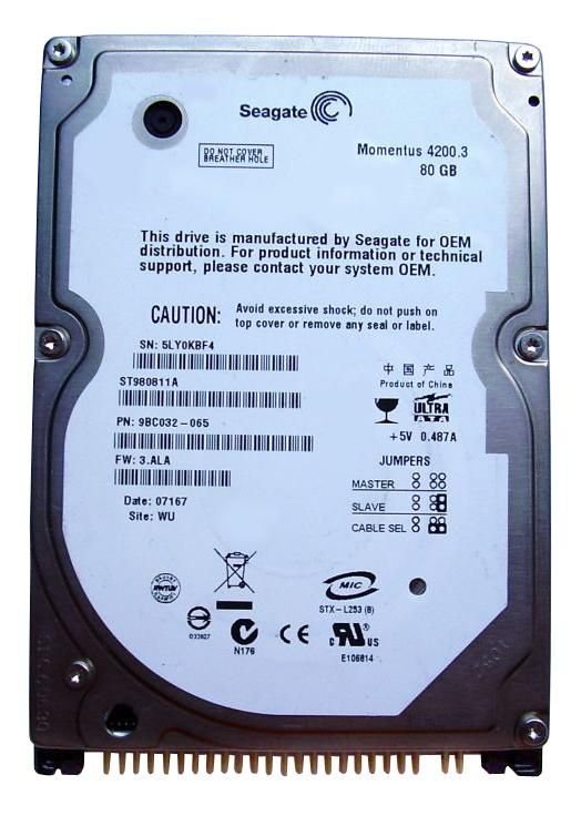 Seagate 80GB Desktop Hard Drive - ST980811A