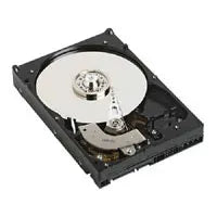 Dell Server Hard Drive - TNTM5