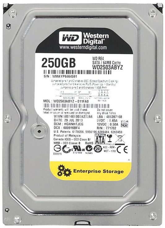 Western Digital 250GB Server Hard Drive - WD2503ABYZ