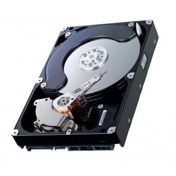 NetApp 2TB Desktop Hard Drive - X306A-R5