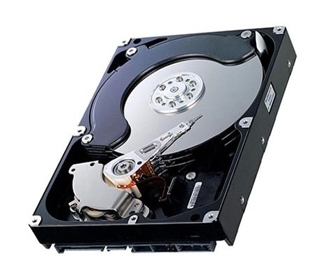 NetApp Server Hard Disk Drive - X306A
